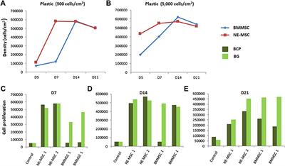 A Comparative In Vitro and In Vivo Study of Osteogenicity by Using Two Biomaterials and Two Human Mesenchymal Stem Cell Subtypes